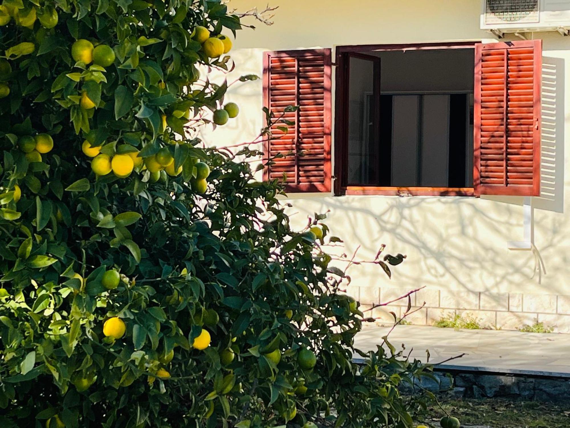 Beachfront Apartment Drazen, With Garden And Parking Σπλιτ Εξωτερικό φωτογραφία